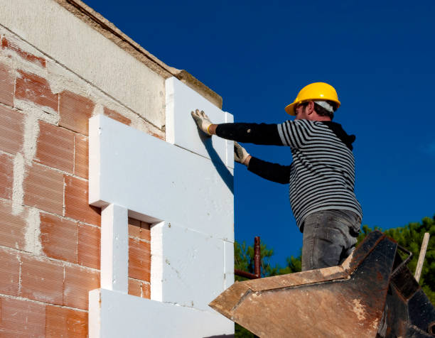 Best Home Insulation Services  in Old Jamestown, MO