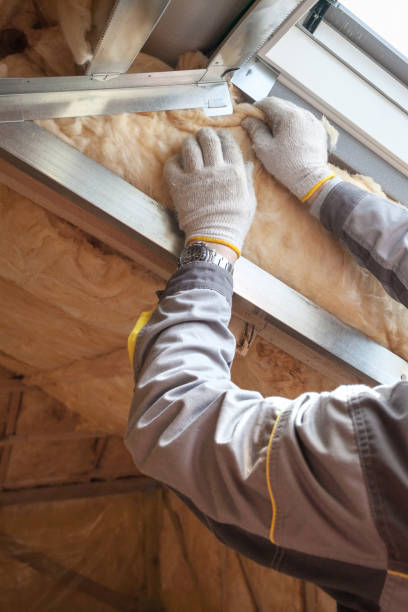 Best Local Insulation Services  in Old Jamestown, MO