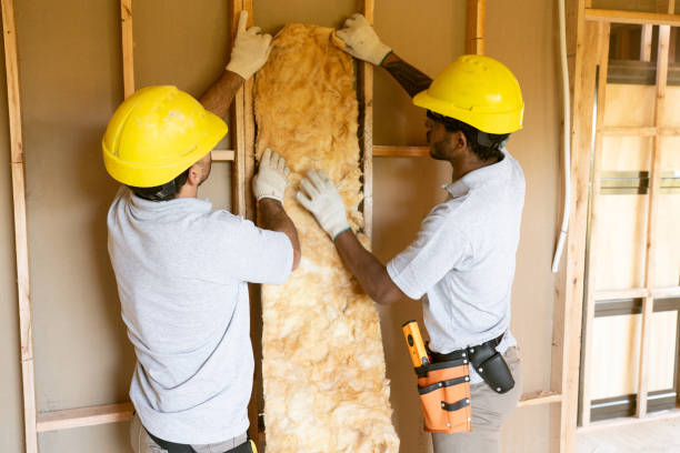 Best Crawl Space Insulation  in Old Jamestown, MO