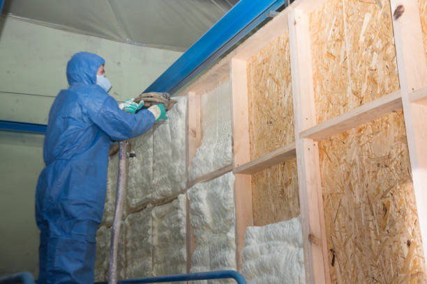 Best Blown-in Insulation  in Old Jamestown, MO