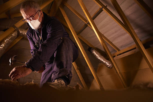 Best Professional Insulation Contractor  in Old Jamestown, MO