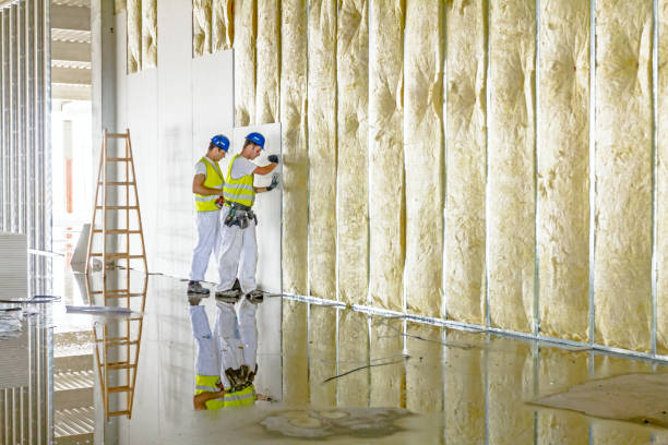 Best Insulation Removal  in Old Jamestown, MO